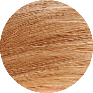 Tints of Nature 8N Natural Light Blonde Permanent Hair Dye Color Swatch