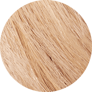 Tints of Nature 10XL Extra Light Blonde Permanent Hair Dye Color Swatch
