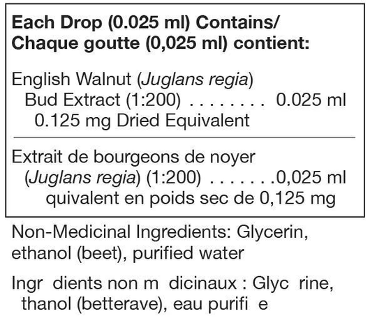 Unda Juglans Regia ( English Walnut) Bud Extract