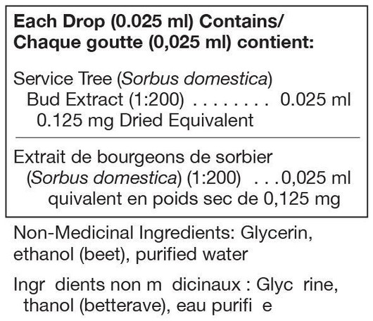 Unda Sorbus Domestica ( Service Tree ) Buds -Ingredients