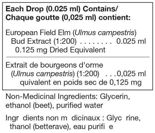 Unda Ulmus Campestris ( Elm) bud extract