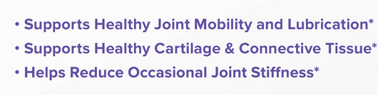 Hyalogic Hyaluronic Acid Joint Support Benefits