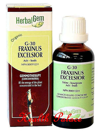 HerbalGem Gemmotherapy G30 Fraxinus excelsior 15 ml