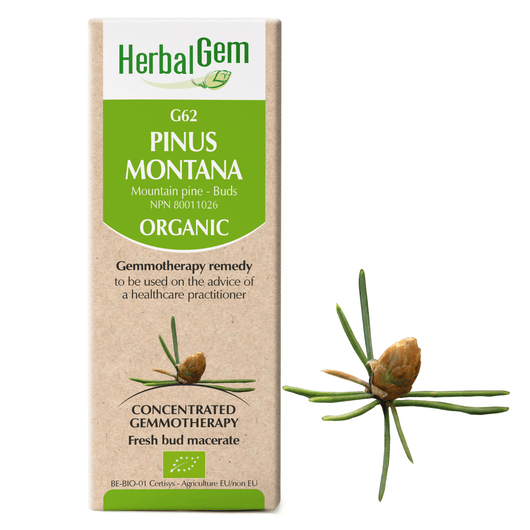 HerbalGem Gemmotherapy G62 Pinus Montana 15 ml