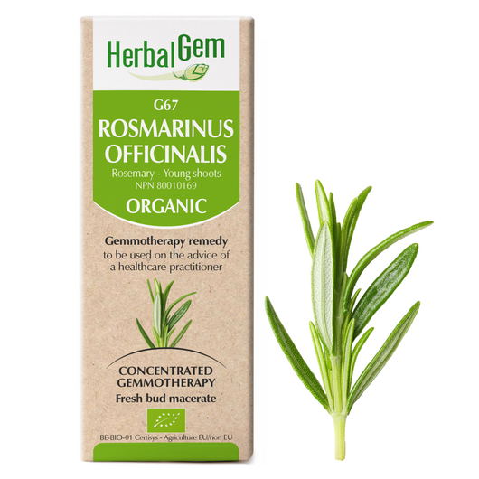 HerbalGem Gemmotherapy G67 Rosmarinus officinalis15 ml