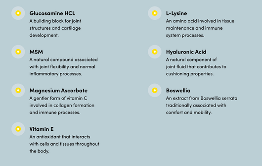 Purica Pet Recovery Extra Strength Chewables Ingredients and benefits Purica Pet Recovery Extra Strength Chewables Ingredients and benefits