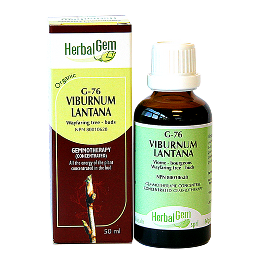 HerbalGem Gemmotherapy G76 Viburnum lantana 50 ml