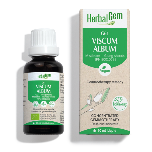 HerbalGem Gemmotherapy G61 Viscum album 30 ml
