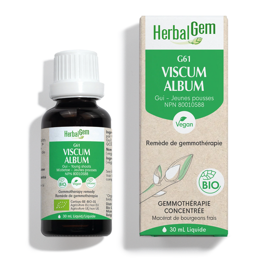 HerbalGem Gemmotherapy G61 Viscum album 30 ml-French