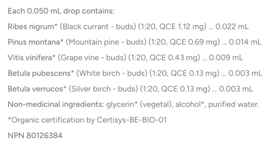HerbalGem G2 AR Gem Ingredients
