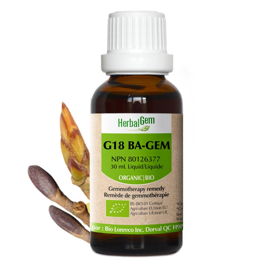 HerbalGem Gemmotherapy Complex G18 BA Gem drops