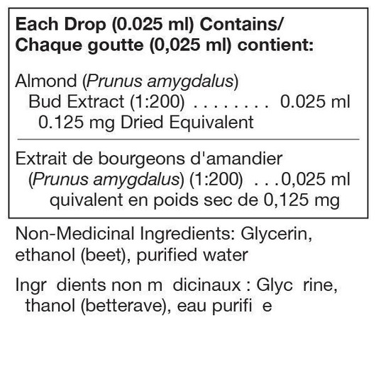 Unda Prunus Amygdalus (sweet almond) Bud Extract
