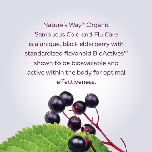 Nature's Way Organic Sambucus Cold & Flu Care Syrup 120 ml Content