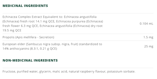 Nature's Way Kids Sambucus Cold and Flu Care Syrup - Ingredients