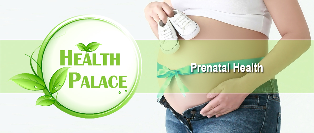 Metagenics Wellness Essentials Pregnancy - Vitamin Supplement Packet to  Help Support the Nutritional Needs of Pregnant Women and Healthy Fetal