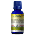 Divine Essence Eucalyptus-Blue Gum Essential Oil Organic 30ml
