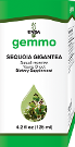 Unda Sequoia Gigantea 125 ml