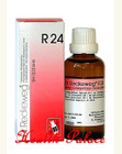 Dr Reckeweg R24 - 50 Ml