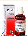 Dr Reckeweg R190 - 50 Ml