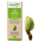 HerbalGem Gemmotherapy G47 Vitis vinifera 15 ml