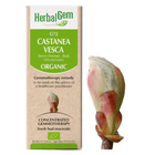HerbalGem Gemmotherapy G72 Castanea vesca 50 ml