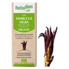 HerbalGem Gemmotherapy G35 Sambucus nigra 50 ml