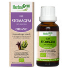 HerbalGem Gemmotherapy Complex G24 StomaGem 15 Ml