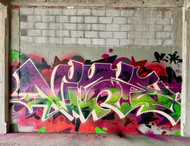 Behind the Spray: An Exclusive Interview with artist, Vizie