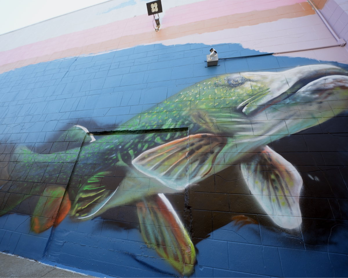 Vibrant fish mural painted with Rust-O Artist Spray Paint as part of the Kenosha Murals Project, showcasing detailed street art on a downtown Kenosha wall