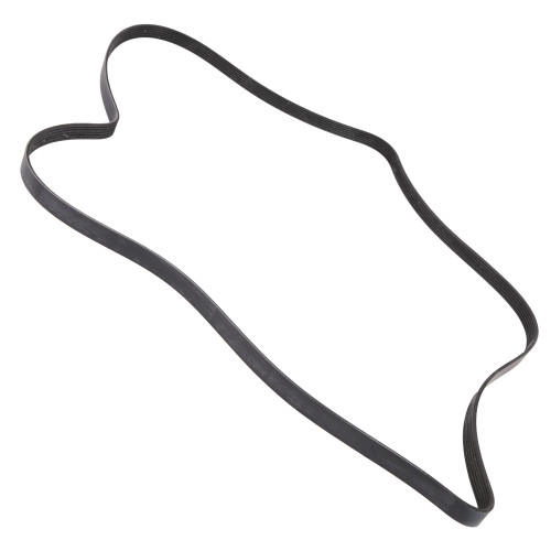 Sage Parts V Micro Auto Belt for Charlatte CT5G, MSG425, Harlan HTSBGF50SDWRC GSE