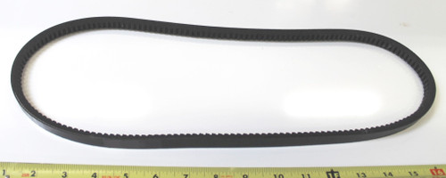 BELT, PRICED EACH-781124