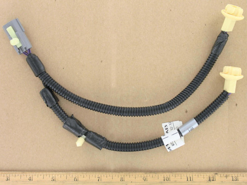 WIRING AND SOCKET, LIC. PLATE-F29Z13412A