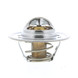 Ford 4.9 Thermostat, 160°F - Ground Support Equipment Part