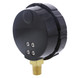 GAUGE, 0-400PSI 2.5in-LFS220400