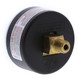 GAUGE, 0-60 PSI-6604001010G