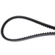 V-Belt XL Auto for CLARK GT/DT50