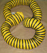 RAMPTECH 8in x 20ft ISP Cuff Duct for Ground Support Equipment