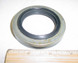 Oil Seal for WOLLARD TML-704