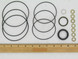 KIT, HYDRAULIC MOTOR SEAL-1511286