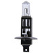 24V 70W Halogen Light Bulb for AIR MARREL, CHARLATTE, COBUS, GOLDHOFER, MULAG, TLD Models
