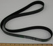 BELT, V RIBBED-3288746