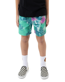 Santa Cruz Industrial Dot Mono Boardshort - Light Green Tie Dye