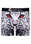 Ethika Mens Fyre Katt Mid
