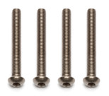 Factory Team Titanium Screws, M3x24 mm BHCS (4)