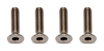 Factory Team Titanium Screws, M3x12 mm FHCS (4)