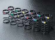 MST DK-RWD Drift spring set (F26/R28)(6&6) [820157]