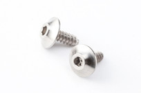 Reve D 8810 STYLE SPM Titanium M2×5mm Tapping Screw（2pcs.）[HS-TS01]