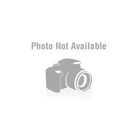 Team Associated RC10 Shock Piston Set