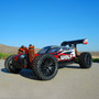 DHK 8133 Wolf 1/10 4WD Brushed RTR Buggy w/ EN20 Fast Charger