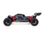 BSD BS213R Cheri-BX 1/10 4WD Brushless RTR Buggy- No Charger